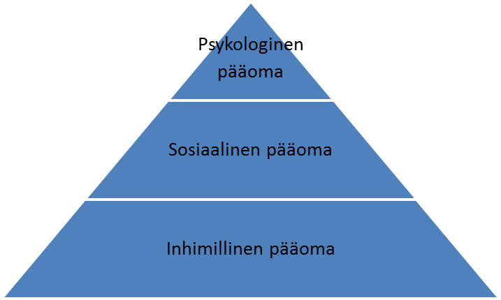 Ammattikorkeakoulun-kieltenopettajan-keskeiset-paaomat