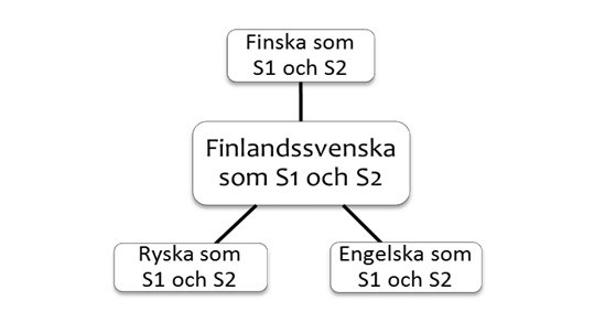 Fokus_2