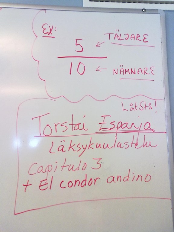 Muhonen_6