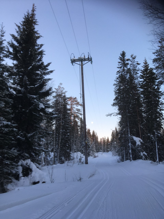 Kuvassa on sähkötolppa ladun vieressä