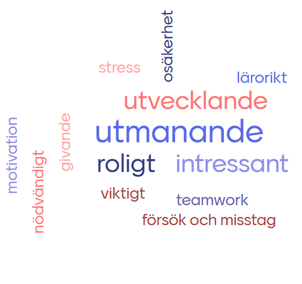 Ordmolnet består av tretton ord i tre olika storlekar. Det största ordet är utmanande, näst största är orden intressant, roligt och utvecklande. Minst är orden försök och misstag, givande, lärorikt, motivation, nödvändigt, osäkerhet, stress, teamwork samt viktigt.